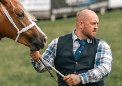 royal welsh show, pays de galle, welsh cob, chevaux, élevage