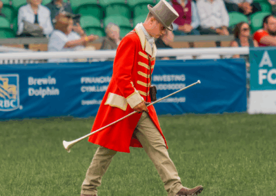 royal welsh show, pays de galle, welsh cob, chevaux, élevage