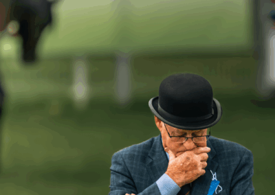 royal welsh show, pays de galle, welsh cob, chevaux, élevage